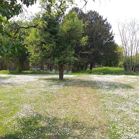 Charmante Maison Vitry-le-François Εξωτερικό φωτογραφία
