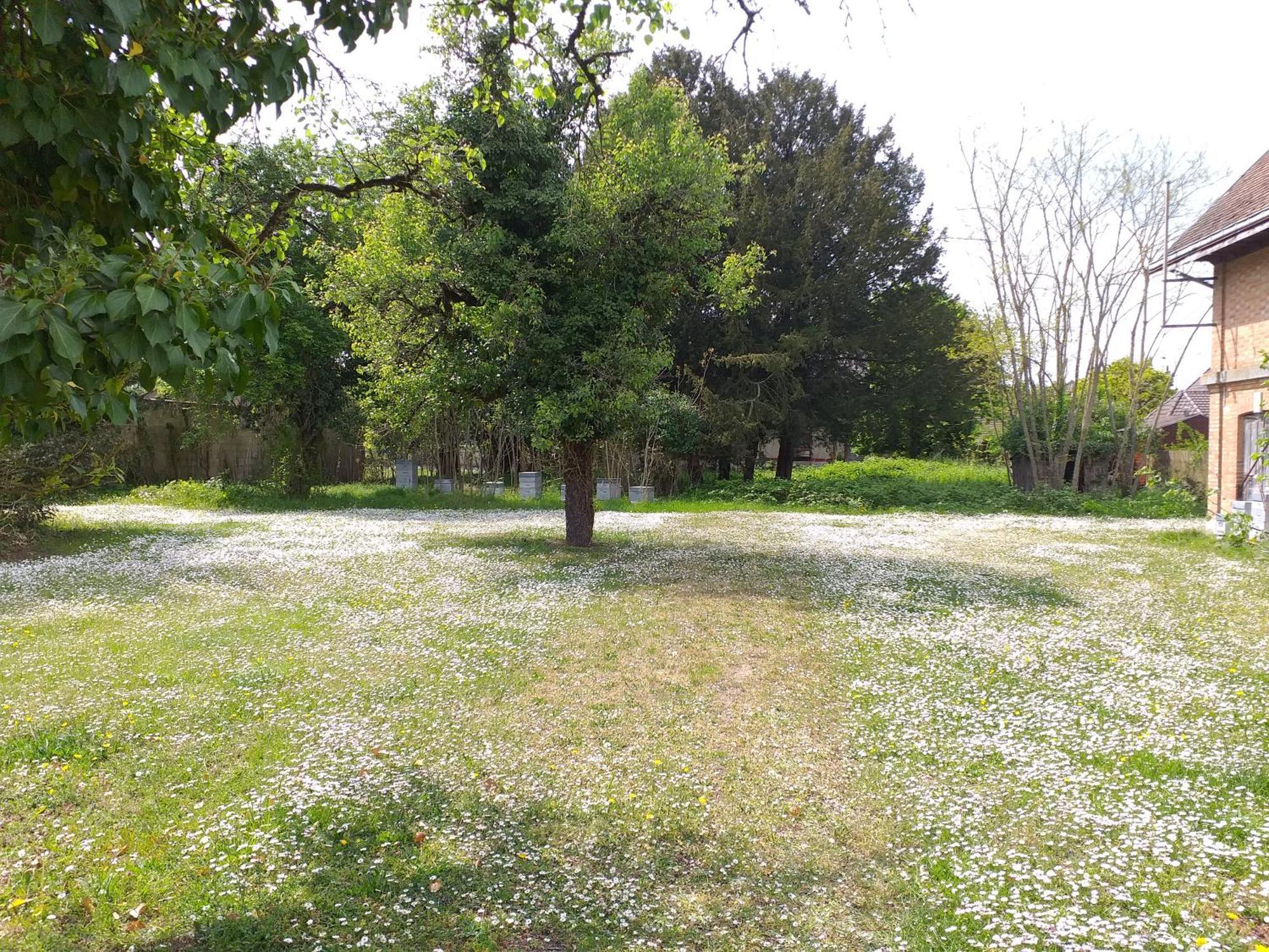 Charmante Maison Vitry-le-François Εξωτερικό φωτογραφία